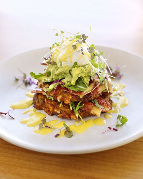 North Point Cafe - Accommodation Gold Coast 0