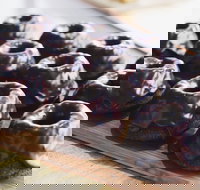 Botanica - Red Hill - Accommodation Gold Coast