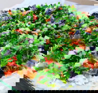 Campsie Lebanese Bakery - Gold Coast 4U