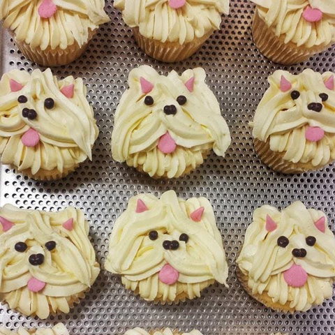 Cupcake Central - Maribyrnong - Accommodation Gold Coast 0