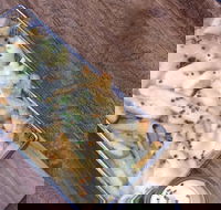 Justinian's - Accommodation Gold Coast