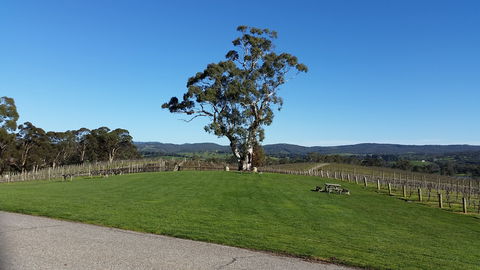 Nepenthe Wines - Accommodation Gold Coast 0