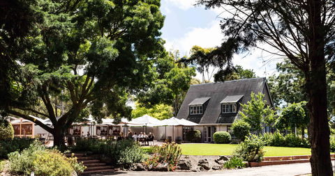 Scotchmans Hill - Accommodation Gold Coast 0