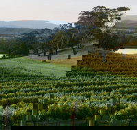 Granite Hills Winery - 1 Gold Coast