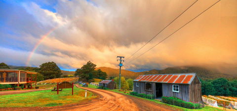 Hartzview Vineyard Heritage Pickers Hut Village - Accommodation Gold Coast 0