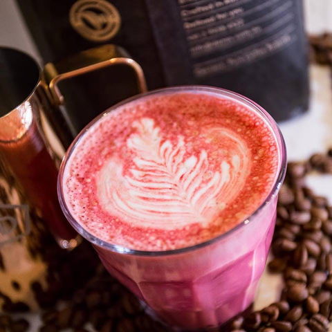 Lorraine's Patisserie - Accommodation Gold Coast 0