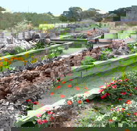 The Farmer's Place - Accommodation Gold Coast
