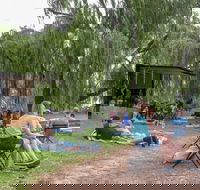 The Pop Inn by Wine Bar Co. - Gold Coast 4U