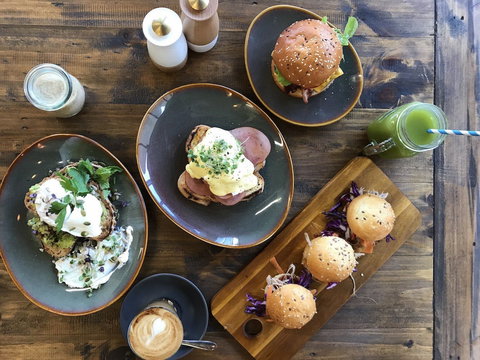 The Unexpected Duck - Accommodation Gold Coast 0