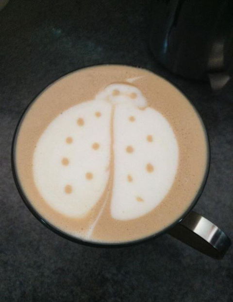 Bissys Cafe & Catering - Accommodation Gold Coast 14