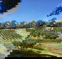 Cherrytime Orchard - Gold Coast 4U