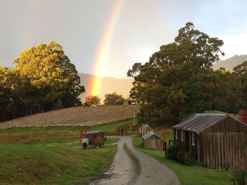 Hartzview Vineyard - Accommodation Gold Coast 0