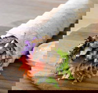 Le Wrap - Campbelltown - Accommodation Gold Coast