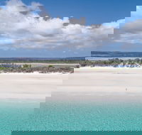 Remedy By Lonsdale St Roasters Belconnen - Accommodation Gold Coast