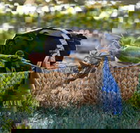 Rowlee Wines Picnic Hamper - 1 Gold Coast