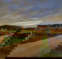Baarmutha Wines - Gold Coast 4U