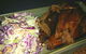 Meat People Bar And Dine - thumb 0