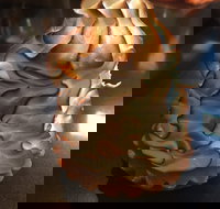 Mocha Bella - Accommodation Gold Coast