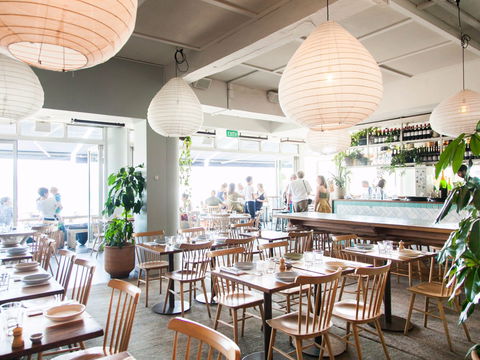 North Bondi Fish - Gold Coast 4U 1