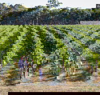 Weathercraft Wines - Gold Coast 4U