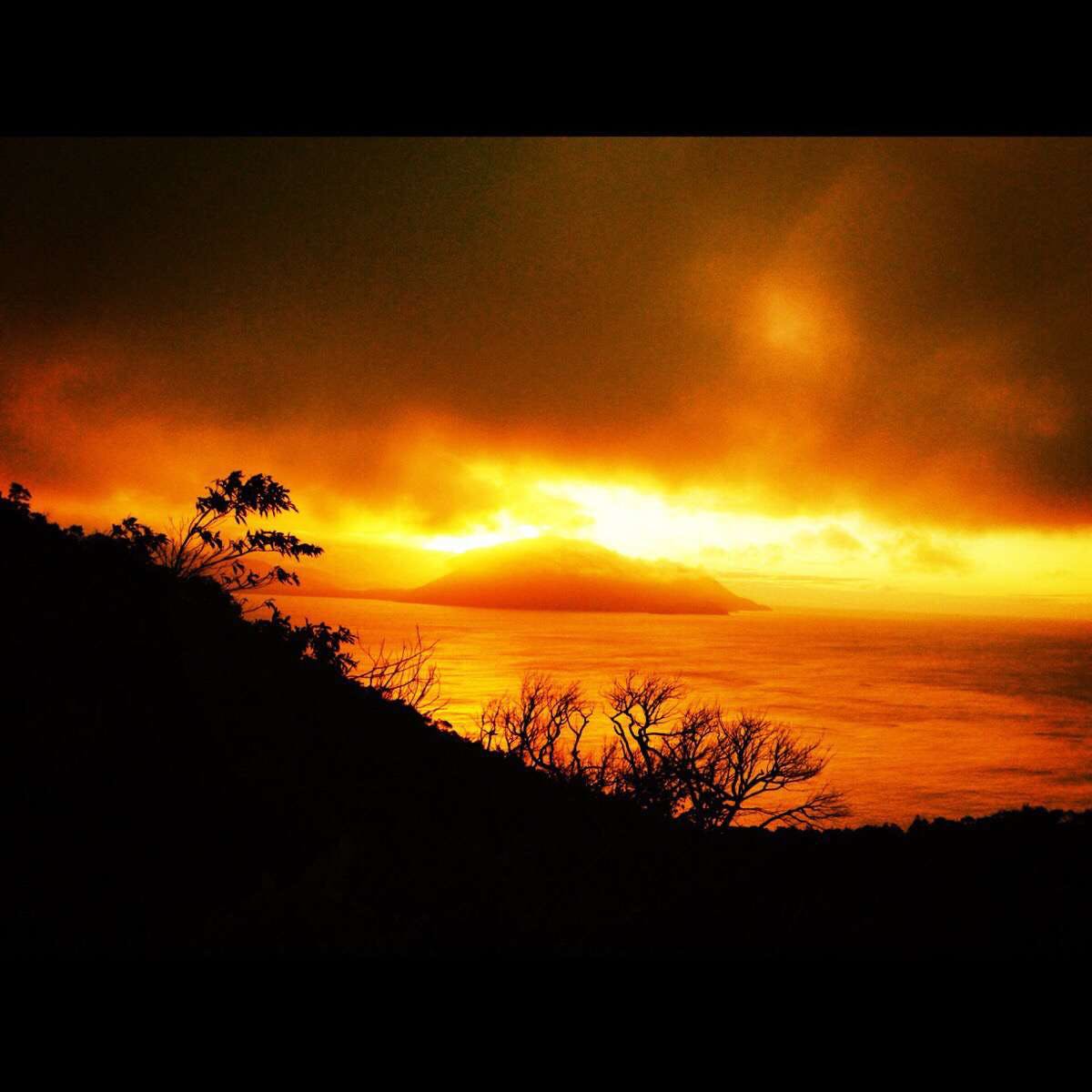 Blackbull ACT Gold Coast 4U