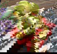 Babycino on Main - Accommodation Gold Coast