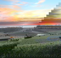 Cape Bernier Vineyard - Accommodation Gold Coast