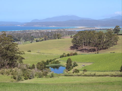 Cape Bernier Vineyard - Accommodation Gold Coast 1