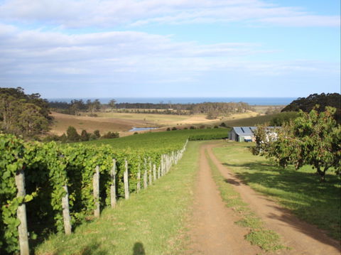 Cape Bernier Vineyard - Accommodation Gold Coast 2