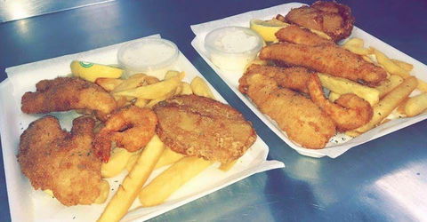 Fishies On Vienna - Accommodation Gold Coast 0