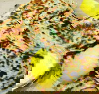 Gozleme King - Blacktown - 1 Gold Coast