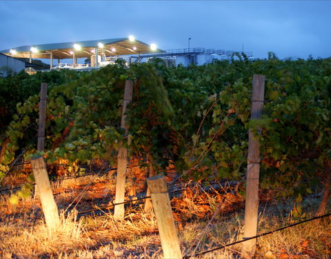 Haselgrove Wines - Accommodation Gold Coast 0