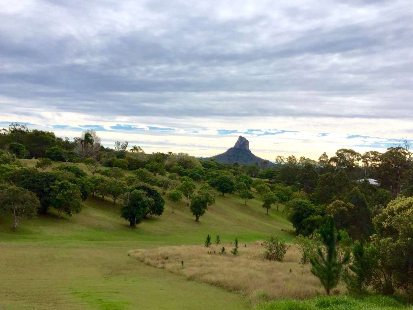 Beerwah QLD Accommodation Gold Coast
