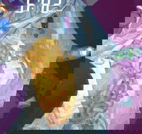 Sharks Tail Fish  Chippery - Accommodation Gold Coast