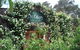The Cidery - thumb 0