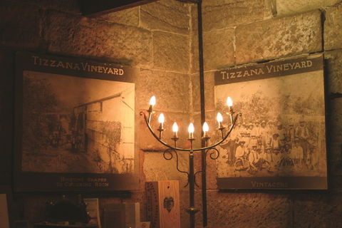 Tizzana Winery - Accommodation Gold Coast 1