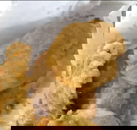 Captain Roxburg Fish  Chips - Accommodation Gold Coast