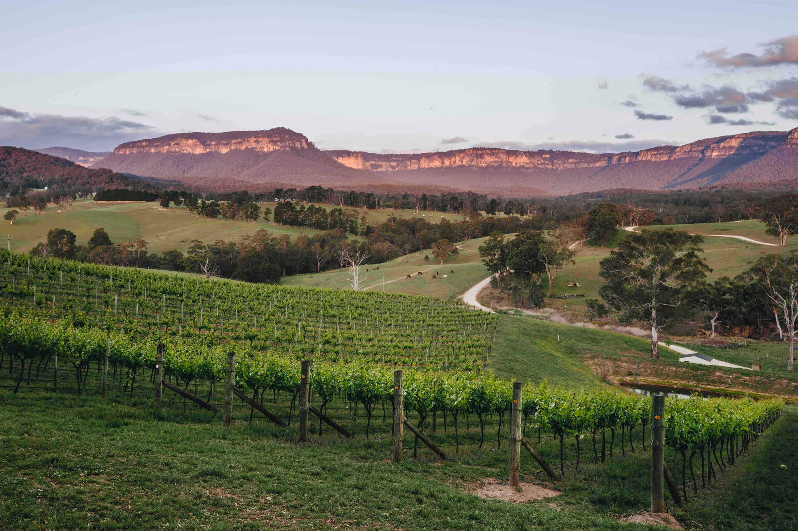 Megalong Valley NSW 1 Gold Coast