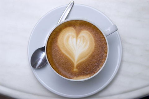 Fibonacci Coffee - Macquarie Park - Gold Coast 4U 0