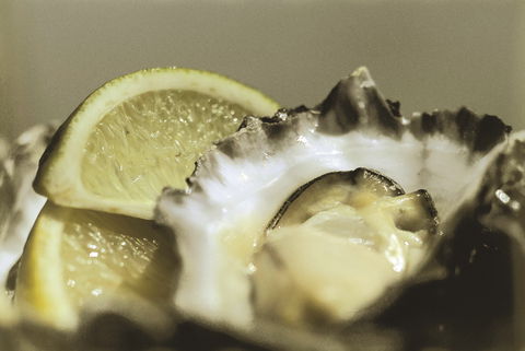 Pearly Oyster Bar And Farm - 1 Gold Coast 0