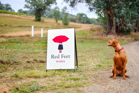Red Feet Wines - Gold Coast 4U 2
