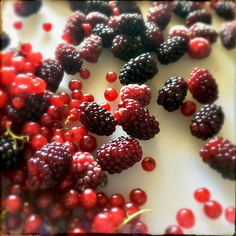 Gentle Annie Berry Gardens - Accommodation Gold Coast 1