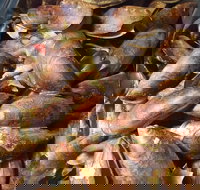 Pacific Eats - Accommodation Gold Coast