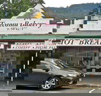 Cheeky Fox - Accommodation Gold Coast