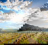 Fallen Giants Vineyard - Gold Coast 4U