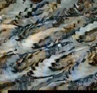 Manly Fish Market - 1 Gold Coast