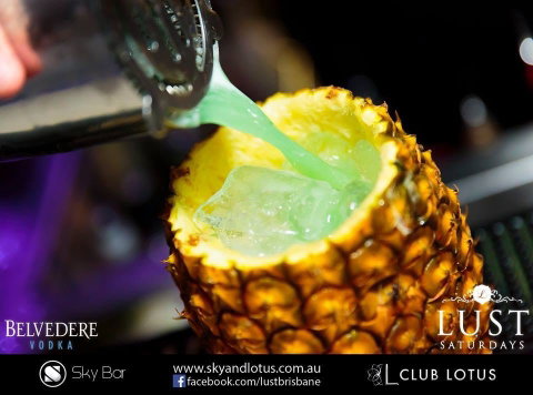 Sky And Lotus - Accommodation Gold Coast 0