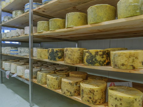 The Wicked Cheese Company - Accommodation Gold Coast 2