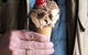 Van Diemens Land Creamery - thumb 0