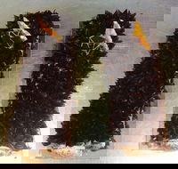 A Treat of France - Carlton North - Accommodation Gold Coast